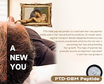 Hair Follicle Regeneration Discovered, Raising Hope For Reversing Hair Loss