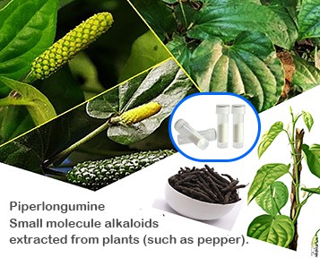 Thaum Skincare ntsib Cell Science: Ntau qhov muaj peev xwm ntawm cov nroj tsu...