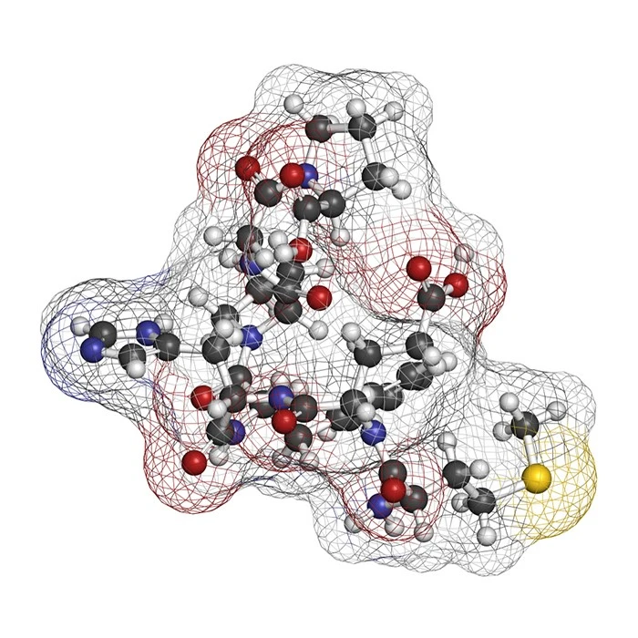 Semax acetate powder benefits